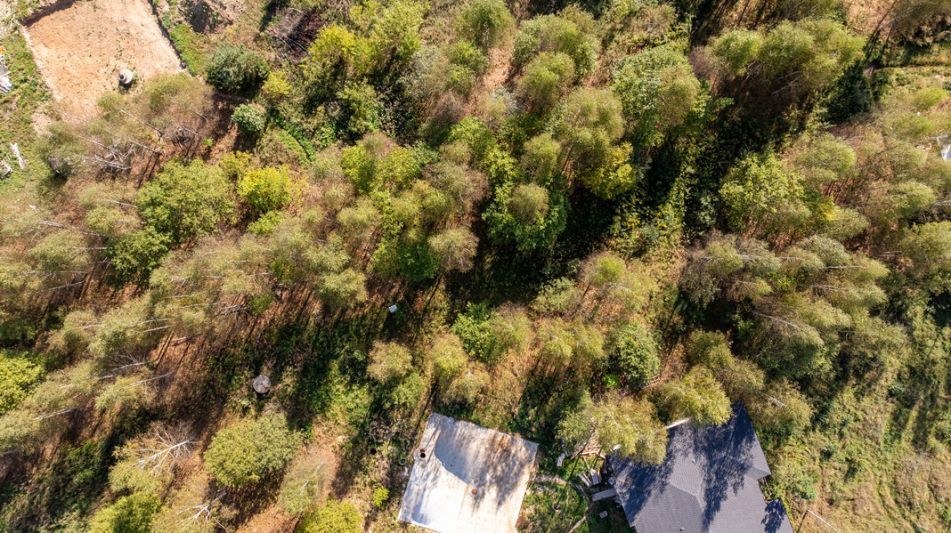 Живописный участок в КП Реки