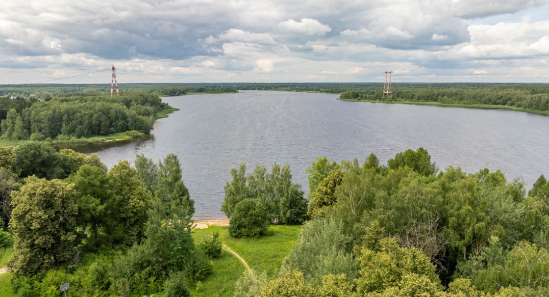 Пруссы