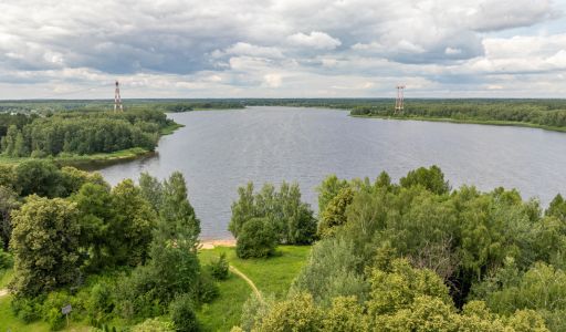 Пруссы