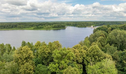 Пруссы