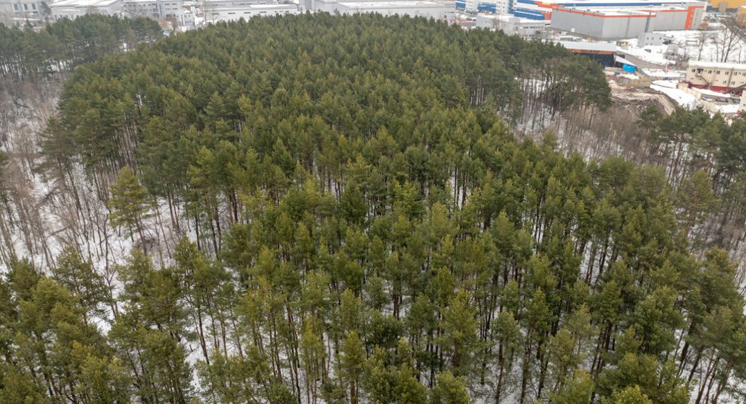 Лобаново