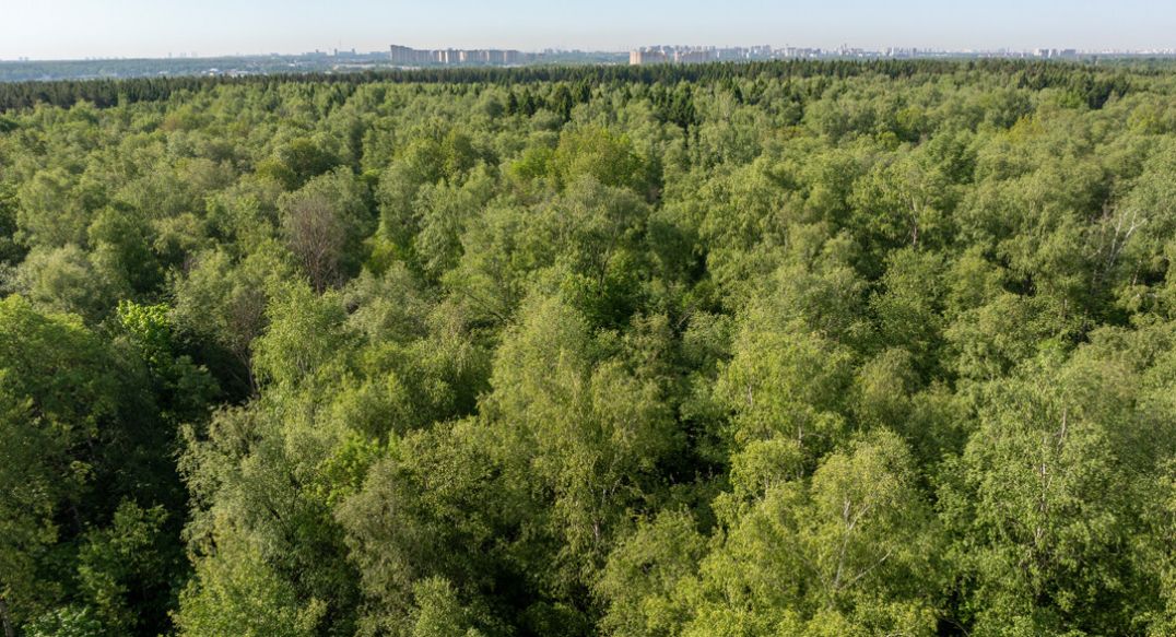 Аббакумово