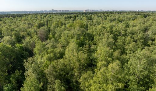 Аббакумово