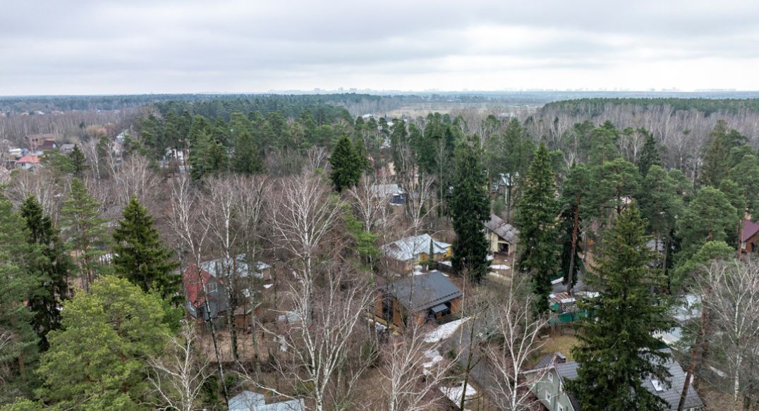 Мамонтовка