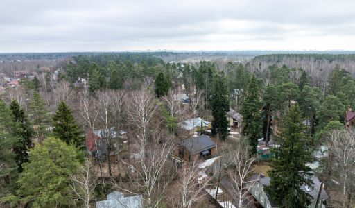 Мамонтовка