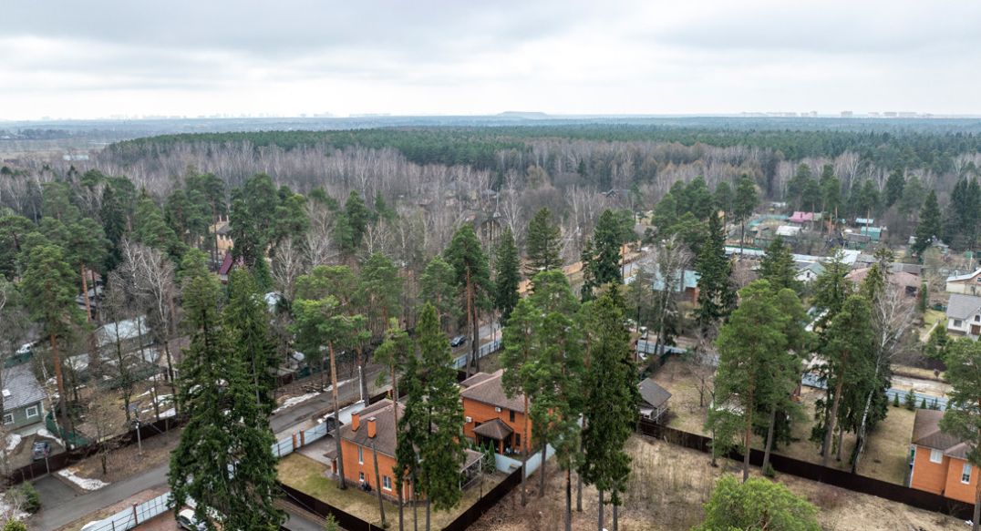 Мамонтовка