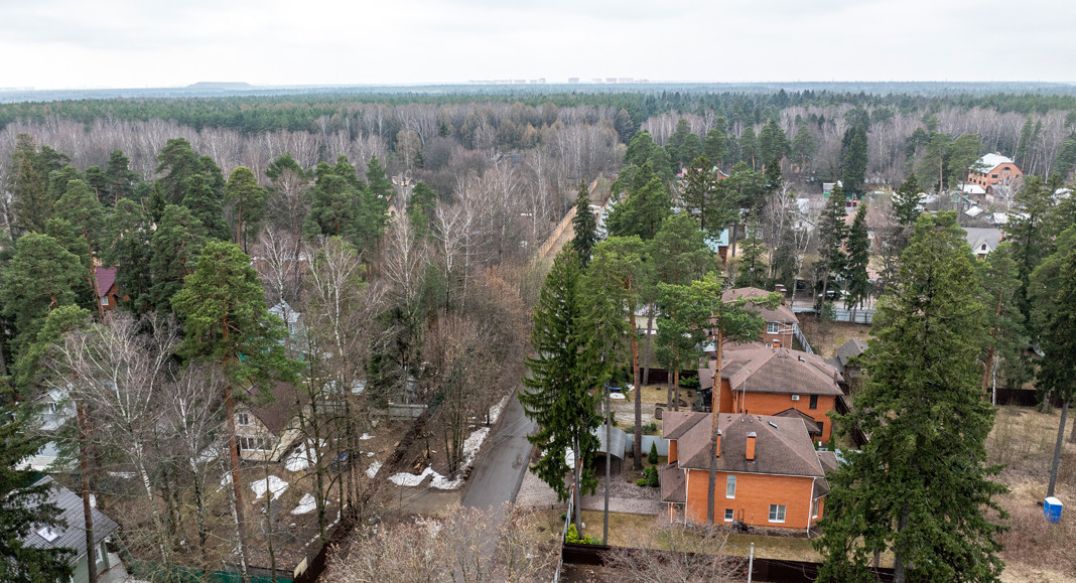 Мамонтовка