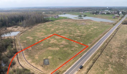 Земля на берегу озера в Можайске