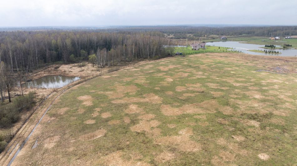 Земля на берегу озера в Можайске
