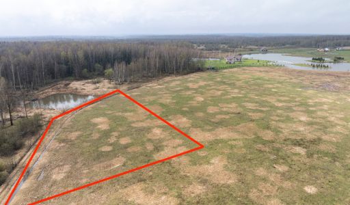 Земля на берегу озера в Можайске