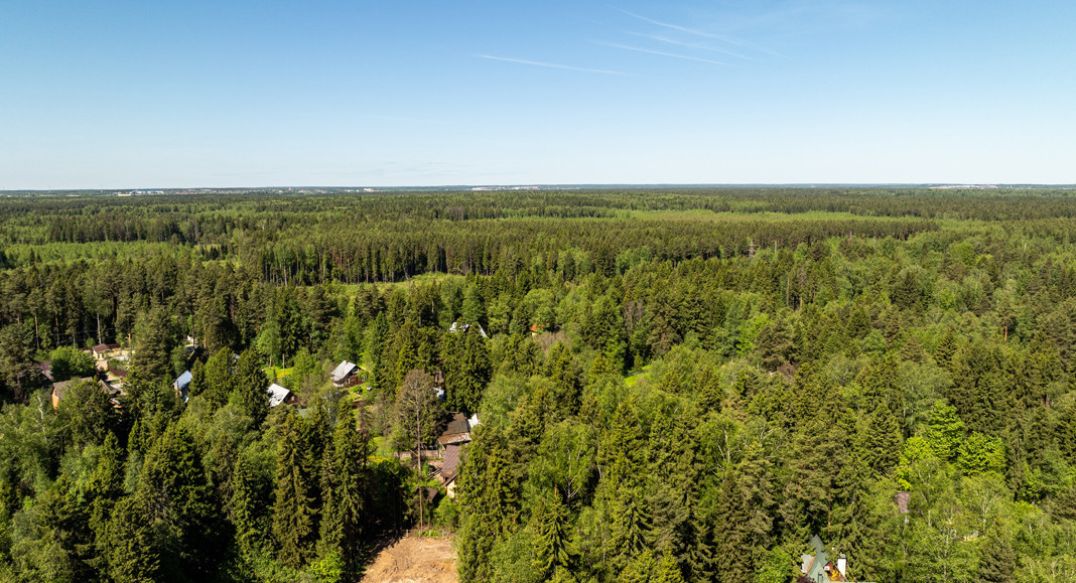 Некрасовский