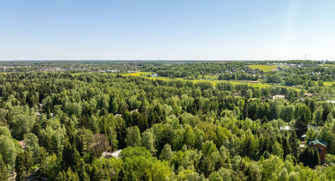 Некрасовский