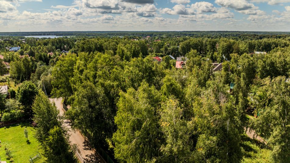 Дом на острове Витенево
