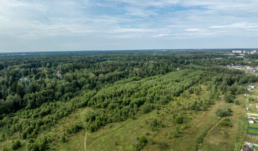 Калипсо Вилладж-1