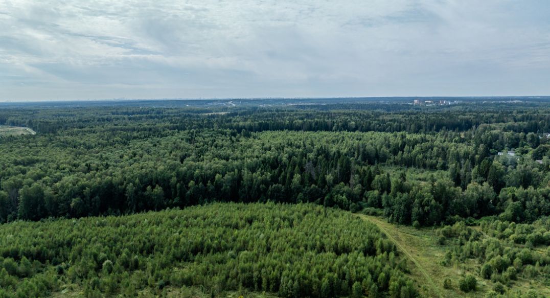 Калипсо Вилладж-1