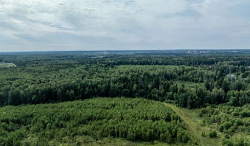 Калипсо Вилладж-1