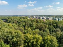 Ореховая бухта
