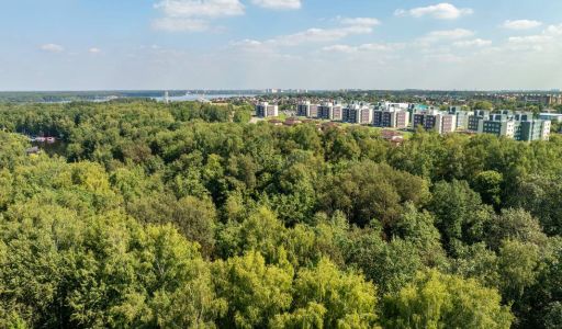 Ореховая бухта