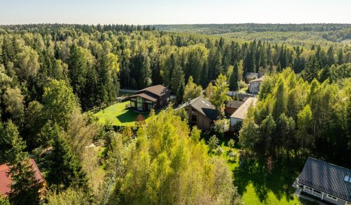 Живописный