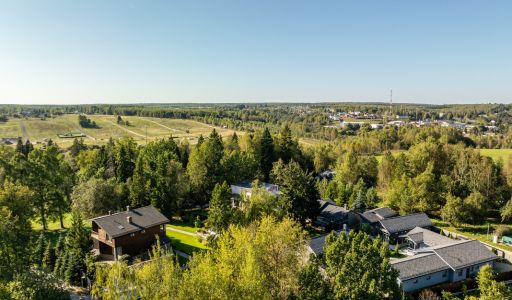 Живописный