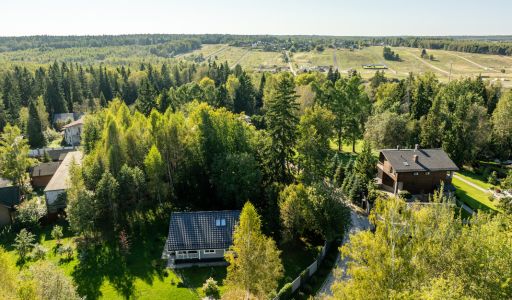 Живописный