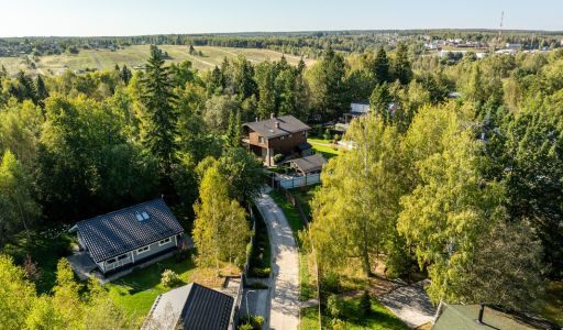 Живописный