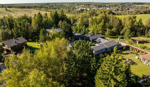 Живописный