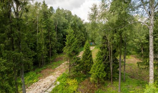 Лесной участок в Трудовой Южной