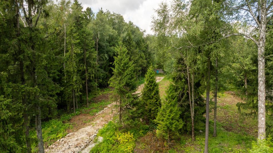 Лесной участок в Трудовой Южной