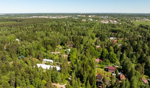 Лесной участок в Некрасовском
