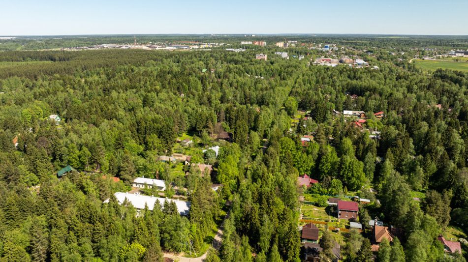 Лесной участок в Некрасовском