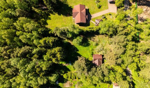 Лесной участок в Некрасовском