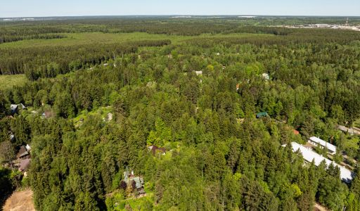 Лесной участок в Некрасовском