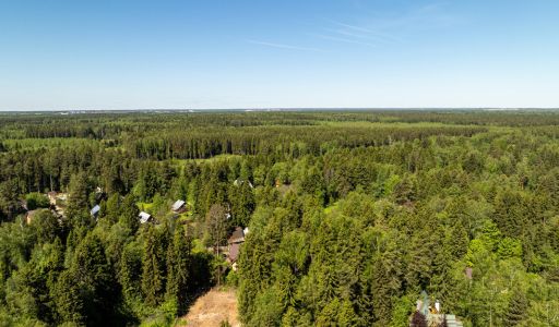 Лесной участок в Некрасовском