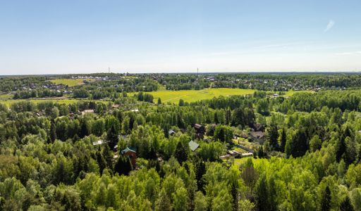 Лесной участок в Некрасовском