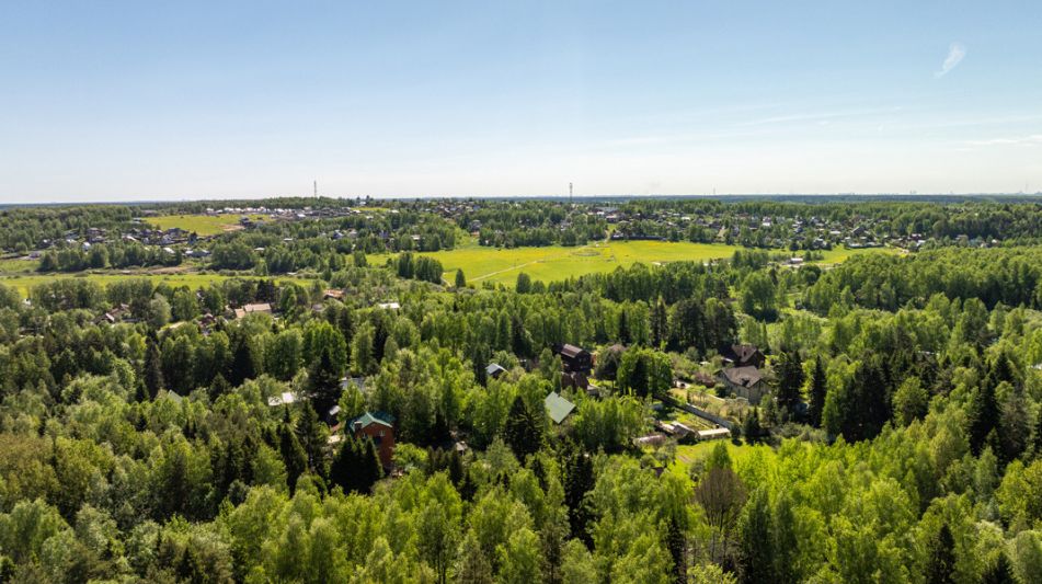 Лесной участок в Некрасовском