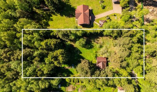 Лесной участок в Некрасовском