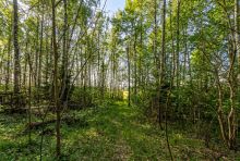 Лесной участок в д.Муракино