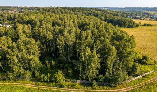 Лесной участок в д.Муракино