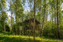 Лесной участок в д.Муракино