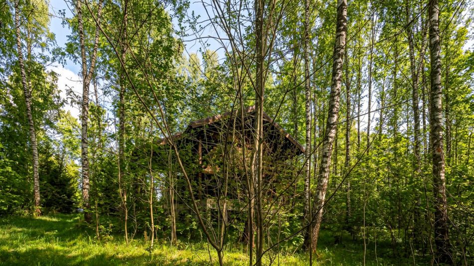 Лесной участок в д.Муракино