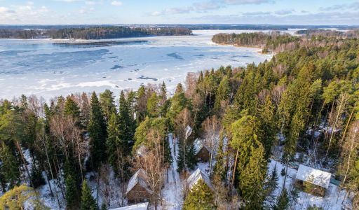 Участок с лесом и причалом у воды