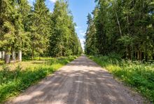 Лесной участок в КП Вымпел