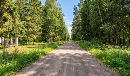 Лесной участок в КП Вымпел