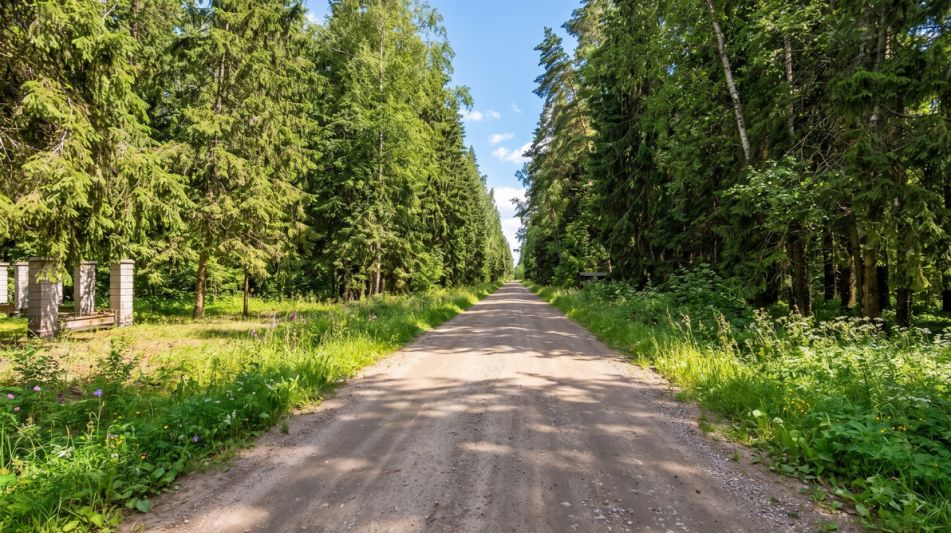 Лесной участок в КП Вымпел