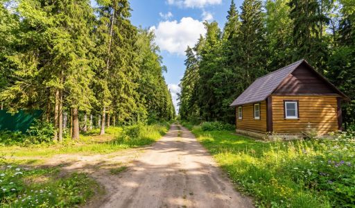 Лесной участок в КП Вымпел
