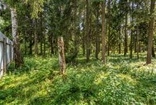 Лесной участок в КП Вымпел
