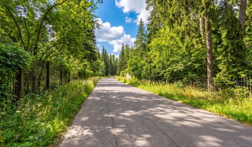 Участок у леса в КП Шервуд