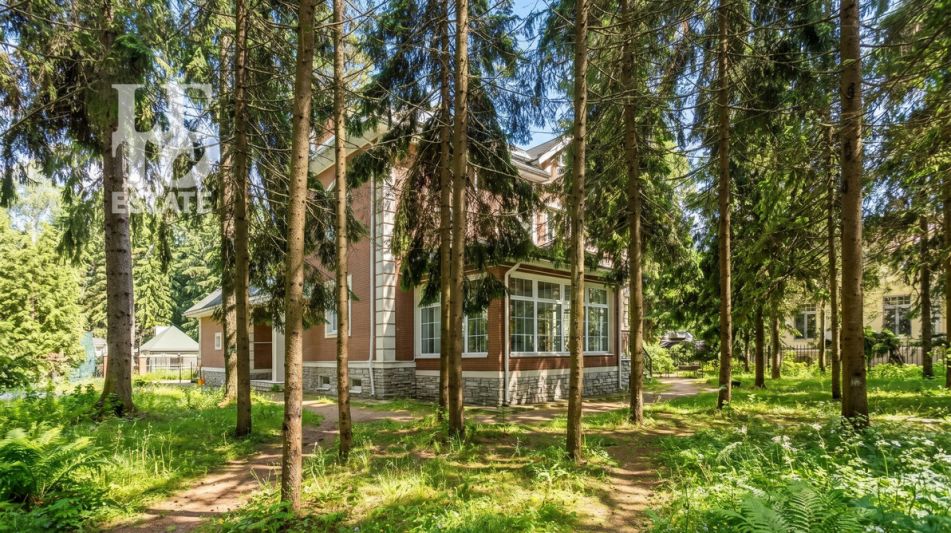 Участок у леса в КП Шервуд