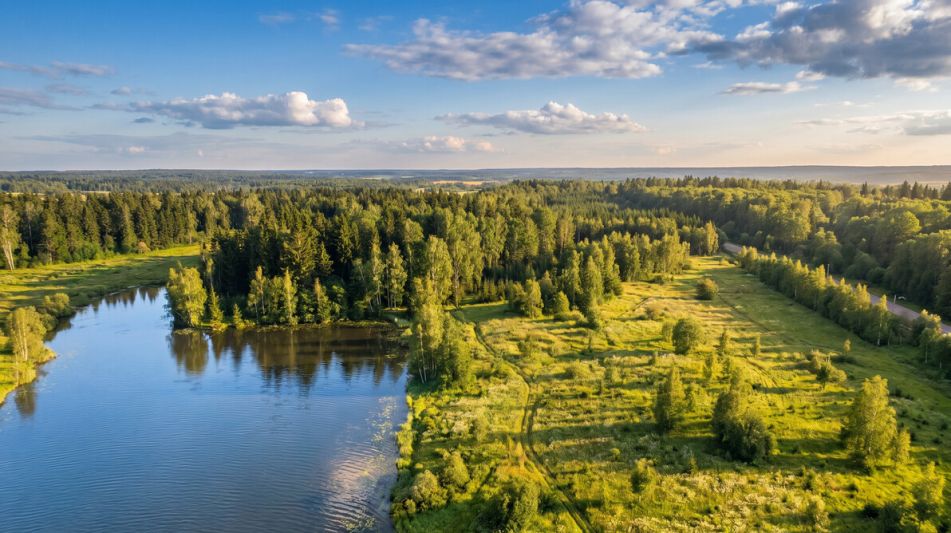 Земельный участок с. Семеновское